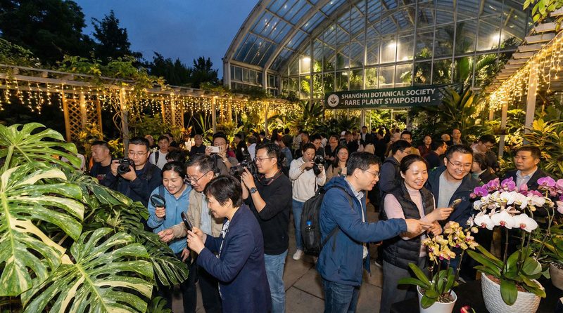 抖阴植物社区活动